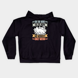 Retro In The Here In The Now No Worries Only Meow Cat Lovers Kids Hoodie